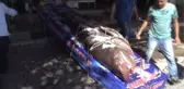 1 Ton 200 Kiloluk Köpekbalığı Yakalandı