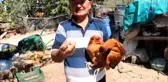 Damgasız Yumurta Sattığı İçin 15 Bin TL Cezası Kesildi