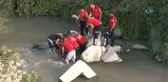 İnanılmaz Kaza, İnanılmaz Kurtuluş