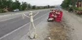 Sarımsaklarını 
