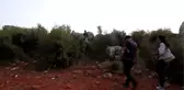 Atatürk Heykelinin Ormana Atıldığı İddiası