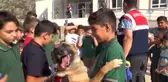 Jandarma Köpekleri Sınıflara Girdi