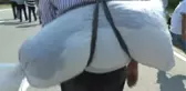 CHP'nin Düzenlediği 