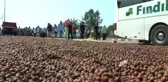 Fındık İçin Adalet Yürüyüşünün İkinci Günü de Tamamlandı