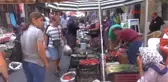 Aydın Germencik'in Dağ Mahallelerinde İncir Nöbeti