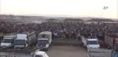 Yükselen Saman Fiyatları Hayvan Pazarını Olumsuz Etkiliyor