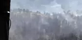 Nallıhan'daki Orman Yangını