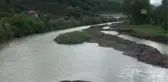 Zonguldak'ta Balık Ölümleri