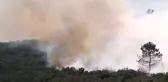 Askeri Kışla İçerisindeki Ormanlık Alanda Yangın