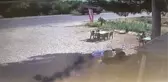 Arazöz ile Kamyonet Çarpıştı: 1 Ölü, 5 Yaralı
