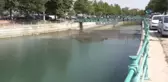 Beyşehir Gölü'nden Kanala Yavru Balık Akışına Tepki