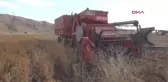 Hakkari Yüksekova'da Aspir Hasadına Başlandı