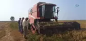 Mahkumların Ürettiği 14 Ton Pirinç Satışa Sunuldu