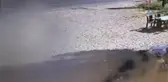 Orman İşçisinin Can Verdiği Feci Kaza Kamerada