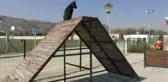 Afyonkarahisar Deprem ve Afetlere Hazır