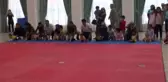 Çocukların Emekleme Yarışması Renkli Görüntülere Sahne Oldu