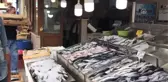 Karadenizli Balıkçının Umudu Hamside