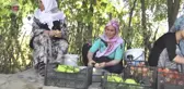 Muşlu Kadınların Kış Hazırlığı