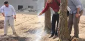 Toprağın Altından Dumanlar Çıktı, Vatandaş Ne Yapacağını Şaşırdı