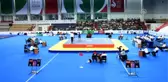 14. Dünya Büyükler Wushu Şampiyonası - Kazan