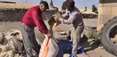 Buğday ve Arpalar Kuyularda Muhafaza Ediliyor