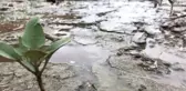 Topraklarımızdaki Erozyon Kaybı Azaldı
