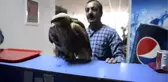 Yaralı Kartala Sahip Çıktı