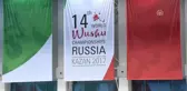 14. Dünya Büyükler Wushu Şampiyonası