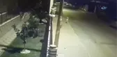 Antalya'da Vahşet... Sokak Köpeğini Öldürüp, Patisinden Korkuluklara Çivilediler