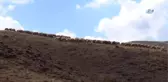 Erzincanlı Göçerler Dönüş Yolunda