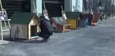 Hayvanların Yuvalarını Ünlü İsimler Tasarladı, Engelliler Hayata Geçirdi