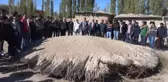 Arkeoloji Öğrencileri, İlk Derslerini Kazı Alanında İşledi