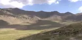 Mikroçipli Yılkı Atları