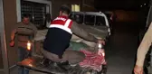Ayı, Saldırdığı Emekli Aşçıyı Öldürüp Yüzünü Parçaladı