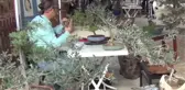 2. Zeytin Hasat Şöleni