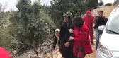 Ağaçtan Düşen Kişi Yaralandı