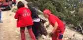 Dal Kesmek İçin Çıktığı Ağaçtan Düşüp Yaralandı