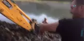 Bataklığa Saplanan İnek Kepçe Yardımıyla Kurtarıldı