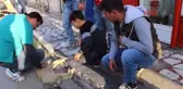 Isparta Yaralı Yavru Köpeğin Yardımına Çevredekiler Koştu