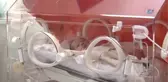 Burçlara Göre Ismarlama Doğum