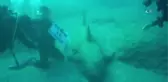 Deniz 20 Metre Altında Evlilik Teklifi