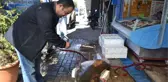 Manisalı Balıkçılar Baraj Gölünde 2,5 Metrelik Yayın Balığı Yakaladı