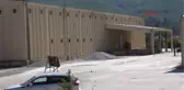 Tütün Deposundan Dünya Şampiyonluğuna - 1