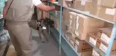 Uyuşturucu Operasyonları