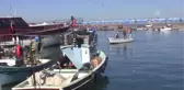 Balıkçılar Palamut Avından Memnun Değil
