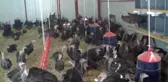 Hibe Desteğiyle Hem İş Sahibi Hem de İşveren Oldu