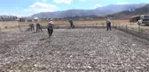 Yüksekovalı Kayakçılar İçin İlk Kez Tesis Yapılıyor