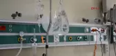 Özel - Kuşu Kurtaran Çobanın Elleri Kesilecek