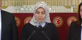 AK Parti Konya Milletvekili Leyla Şahin Usta'dan Avrupa'ya Eleştiri