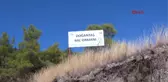 Antalya Bir Kilo Balı Üç Dakikada Yedi